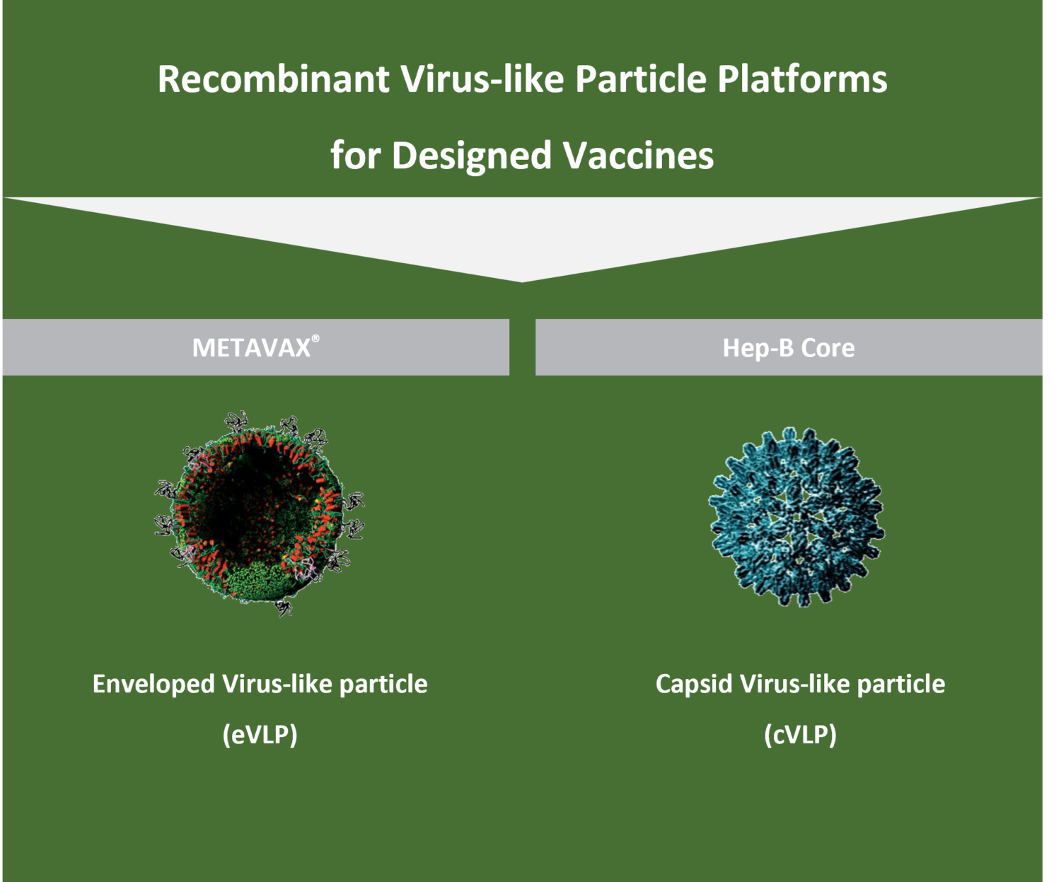 VLP Vaccine Development ‣ ARTES Biotechnology